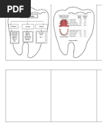 Organizador Grafico Los Dientes