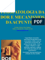 Fisiopatologia Da Dor - Aula Completa