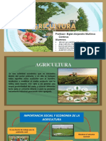 Agricultura-Grupo 5