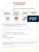 Actividad El Sistema Digestivo