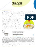 Agar Plate: The Petri Dish