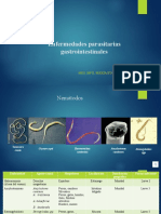 Enfermedades Parasitarias Gastrointestinales Nematodos