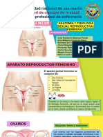 Anatomía y Fisiología Reproductiva Femenina