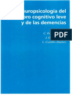 Deterioro Cognitivo Leve y Demencias CORREGIDO