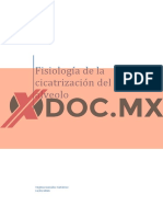 Xdoc - MX Fisiologia de La Cicatrizacion Del Alveolo