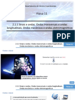 2.1.1 - Sinais e Ondas. Ondas Transversais e Ondas Longitudinais. Ondas Mecânicas e Ondas Eletromagnéticas