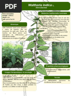 38 Poster Formation Burkina Faso Waltheria Indica L JDM