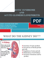 NEPHROTIC SYNDROME - Hamid