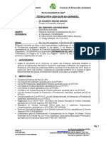 Informe Técnico #014 - 2020