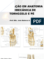 Atualizações em Anatomia e Biomecânica de Tornozelo e Pé