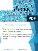 2.presentation in Cell Cycle