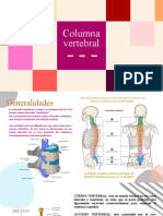 Columna Vertebral