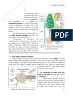 CpSci 101 - MODULE 1 - Lesson 4 - Transpiration