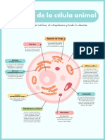 Póster Célula Animal Biología Verde Azulado y Rosa Gráfico Plano