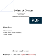 Feeder Pathways For Glycolysis