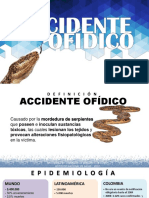 Accidente Ofidico