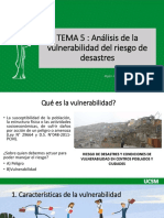 Tema 5, Analisis de La Vulnerabilidad