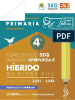 Primaria 4