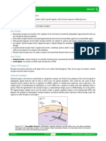 9.1C: Types of Receptors: Learning Objectives