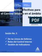 5-Líneas de Defensa