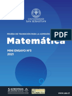 Mini - Ensayo - Matematica Hecho