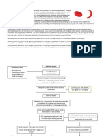 Pathophysiology Case 4 Sickle Cell Anemia