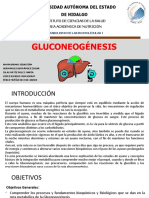 Gluconeogénesis