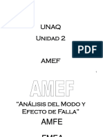 AMEF Final