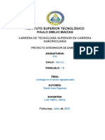 Formato y Estructura de Informe Proyecto PIS