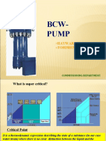 Bcw-Pump: Hayward Tyler Torishima