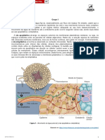 Ae Bio10 228 4 A