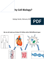 Why Cell Biology?: György Vereb, February 2019