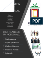 Los 5 Pilares de Un Profesional