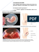 Activité 2 de La Cellule Oeuf À l&#039 Embryon