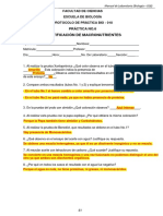 Practica No.6 - Lab - Bio - Llena