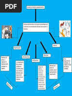 Actividad Mapa Conceptual