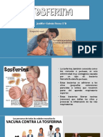 Tosferina Infografia