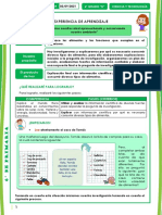 DIA-4-02-09-2021-ciencia y Tecnología-6ºb