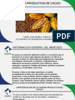 Cadena Productiva de Cacao