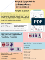 Conteo Diferencial