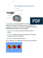 Características Fisiológicas de La Gastrulación