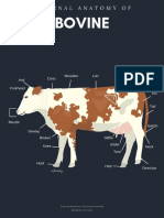 External Anatomy of Domestic Animals @leatrize - Vet.notes