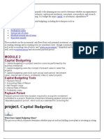 Project. Capital Budgeting