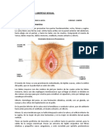 Delitos Contra La Libertad Sexual