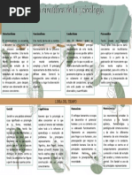 Etapa Cientifica de La Psicologia