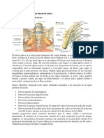 Clinica de Lesión Nervios Ciatico y Popliteos