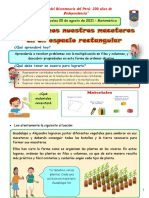 Organizamos Nuestros Maceteros - Matemàtica