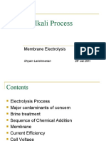 Chlor Alkali Process: Membrane Electrolysis