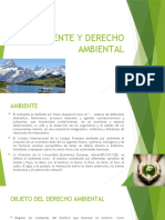 Derechos Del Medio Ambiente