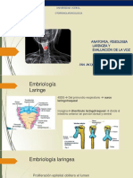 Anato Fisio y Semio de Laringe